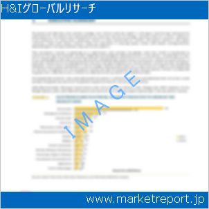 市場と産業調査レポートのイメージ